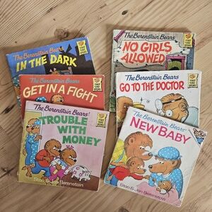 Lot Of Berenstain Bear Books